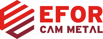 31-EFOR CAM